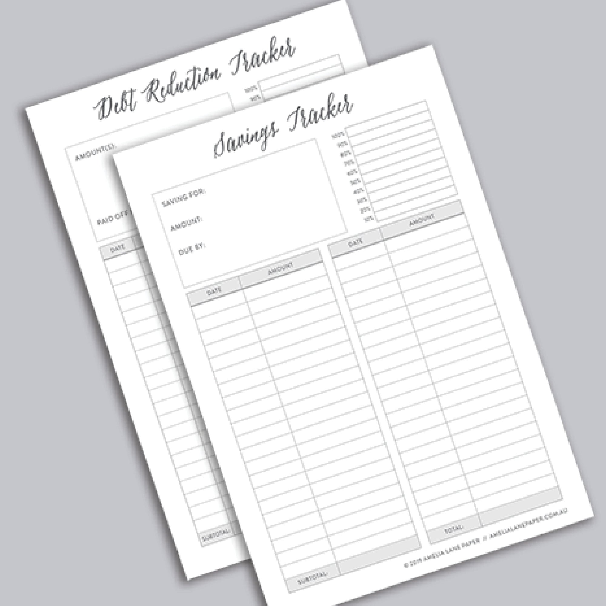 Savings & Debt Reduction Tracker